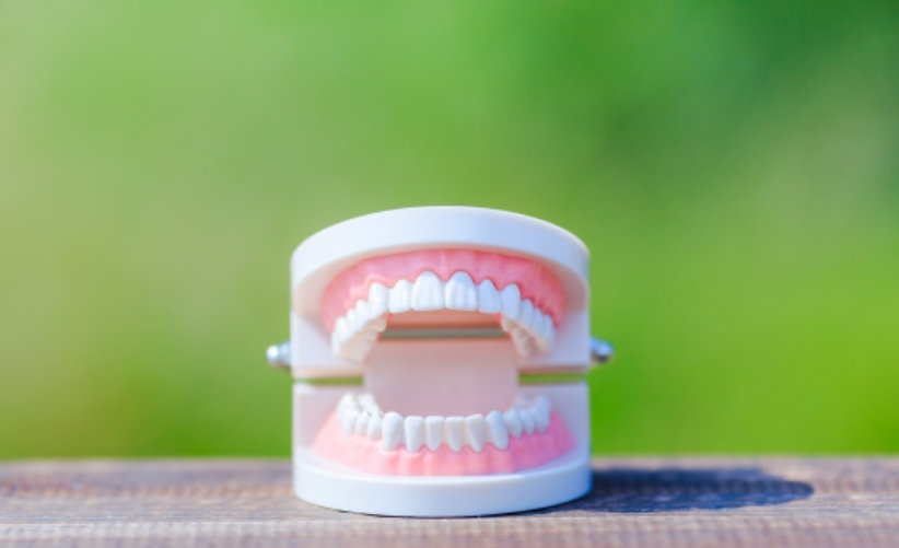 金属床やノンクラスプ、磁性アタッチメントなど患者ニーズに応じた選択肢を提供