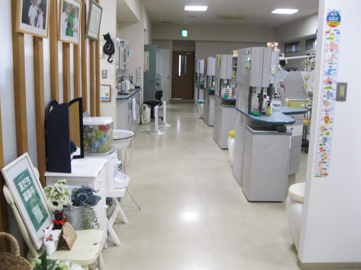 院内は常に清潔に保たれています