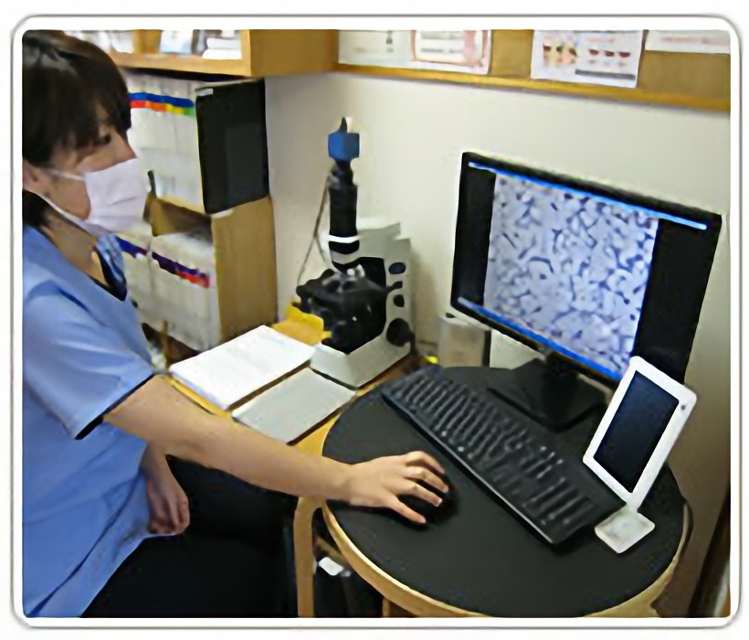 クリニカルコーディネーターを導入