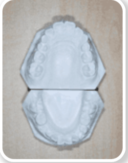 的確な診断と治療を提供します