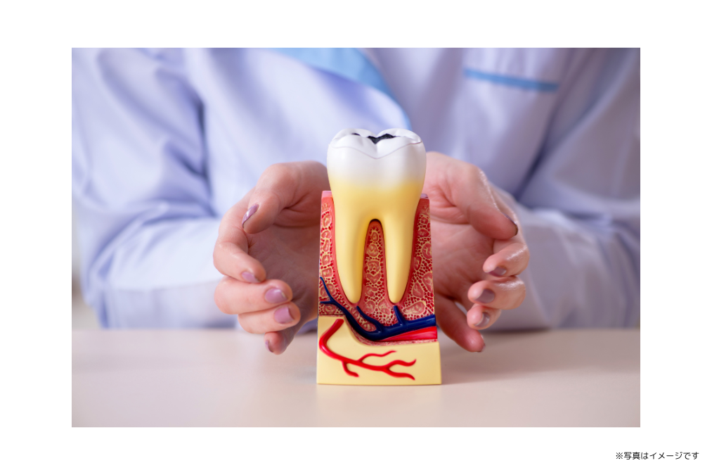 ①診療室　②受付　③イメージ写真