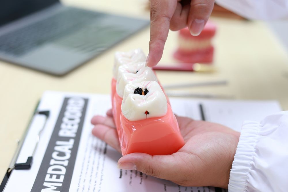 写真はイメージです