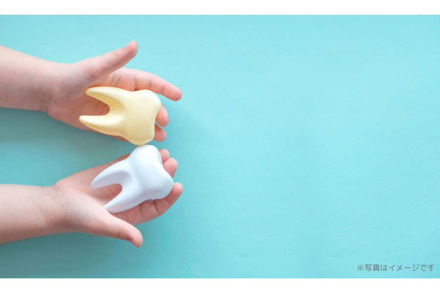 ※画像はイメージです