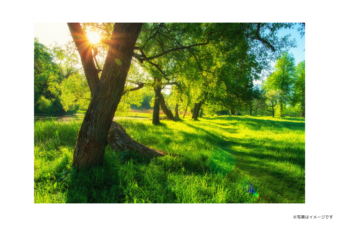 紹介によって来院される方が多く、地域の方々とのつながりを重視した診療体制を築いています。