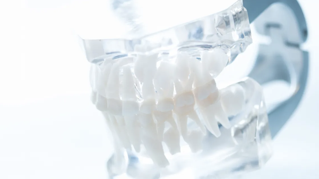 患者様が生涯にわたり健康な歯で過ごせるようサポートしています