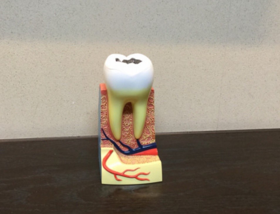 お気軽にご相談下さい