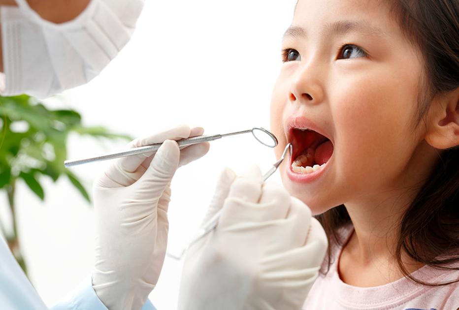 永久歯の健康を左右する乳歯期からの適切なケアと予防教育を展開