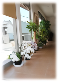 ①外観②待合室③診療スペース