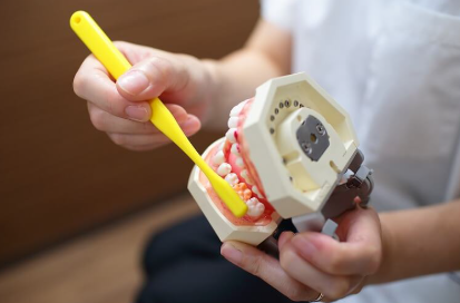 ブラッシングのコツも指導いたします