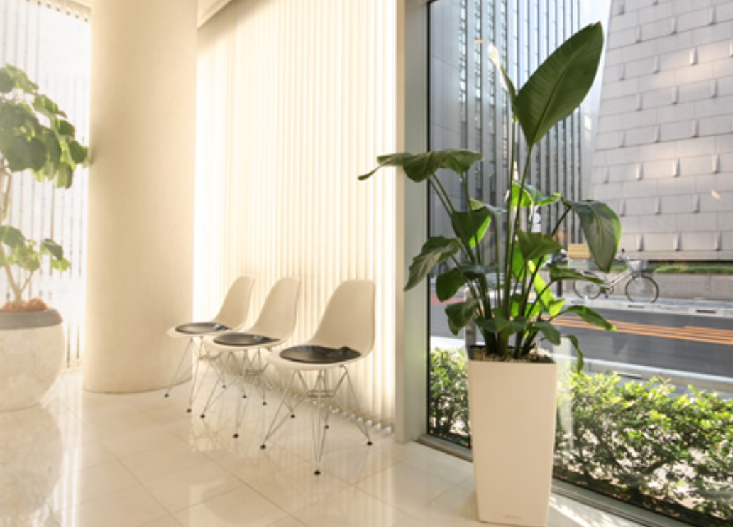 確かな技術と快適な環境で、理想的な歯科医療を提供します