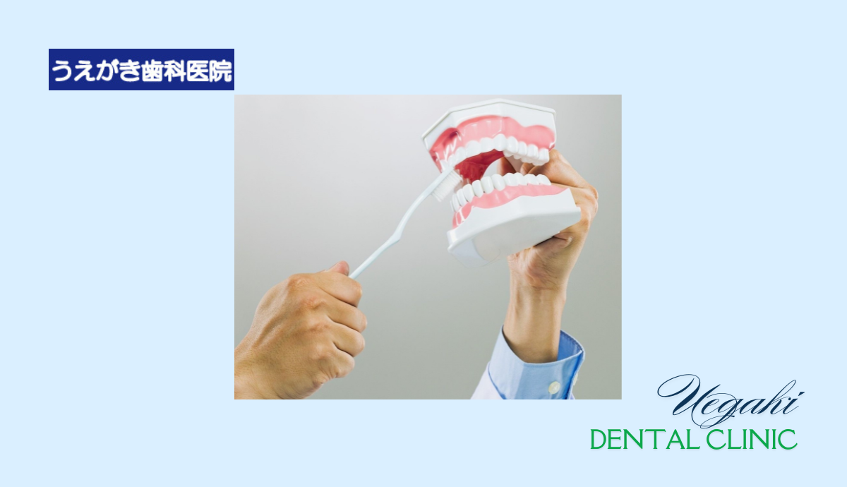 虫歯や歯周病から守るための予防ケアを重視