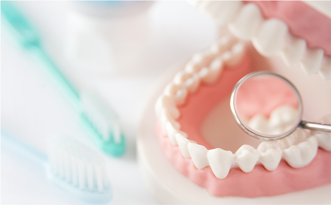 坂本歯科医院が推奨する予防歯科の重要性