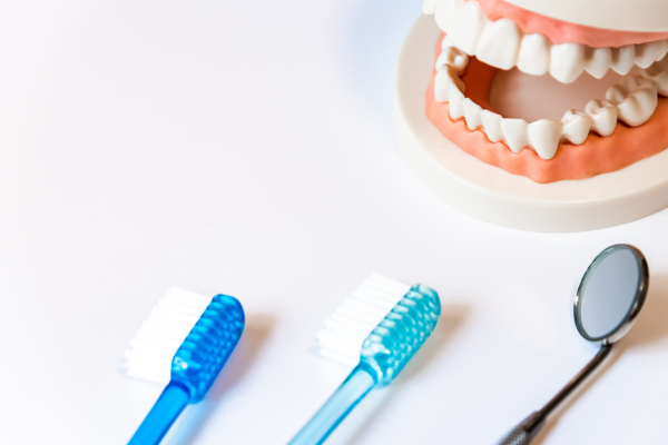 ※画像はイメージです