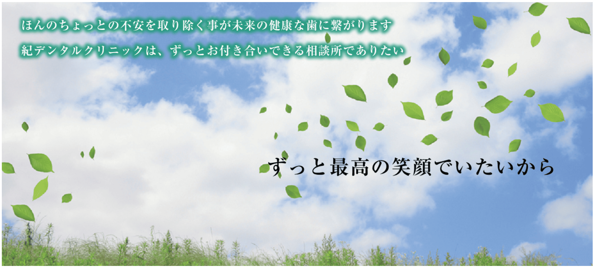 【無痛治療を目指す】【最新のレーザー治療機器完備】地域の健康を支える紀デンタルクリニック