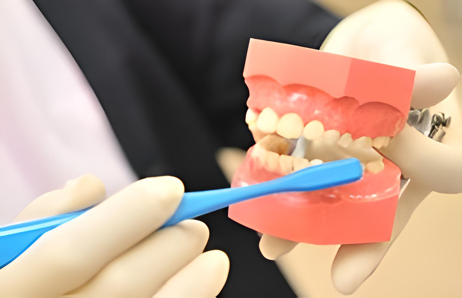 専門的クリーニングと効果的な歯磨き指導で将来の大きな治療を予防