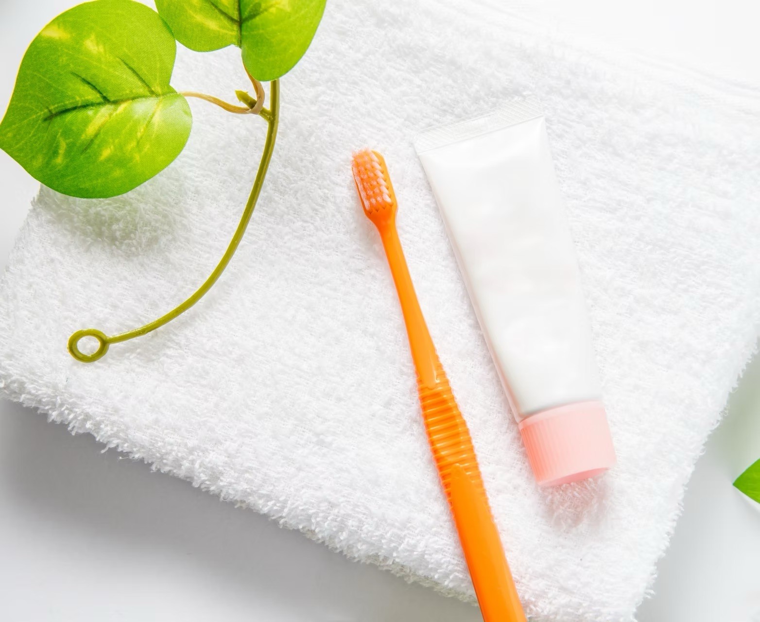 歯ぐきの健康を守り歯を長く保つために