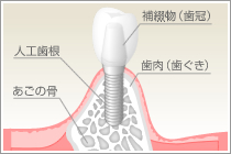 定期的な検診とアフターケアを大切にしています