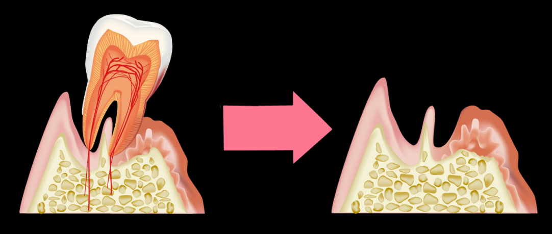 専門的診断と再生療法への取り組み
