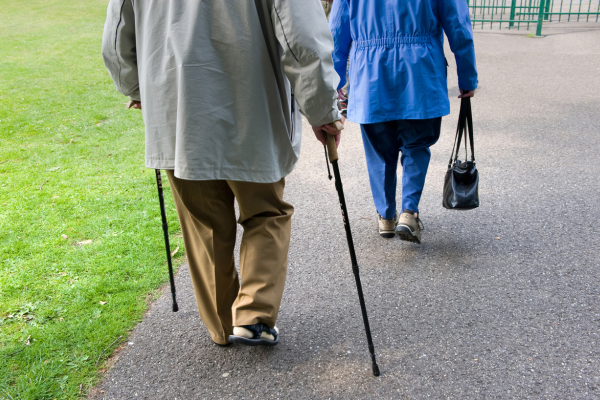 ※画像はイメージです