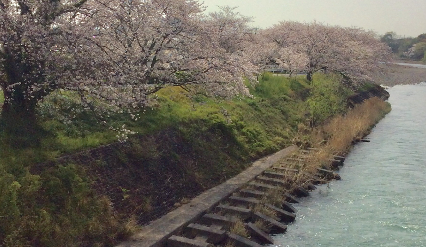 【土曜日診療あり】瀬戸川のせせらぎが聴こえる歯科医院「スマート・デンタル・オフィス」