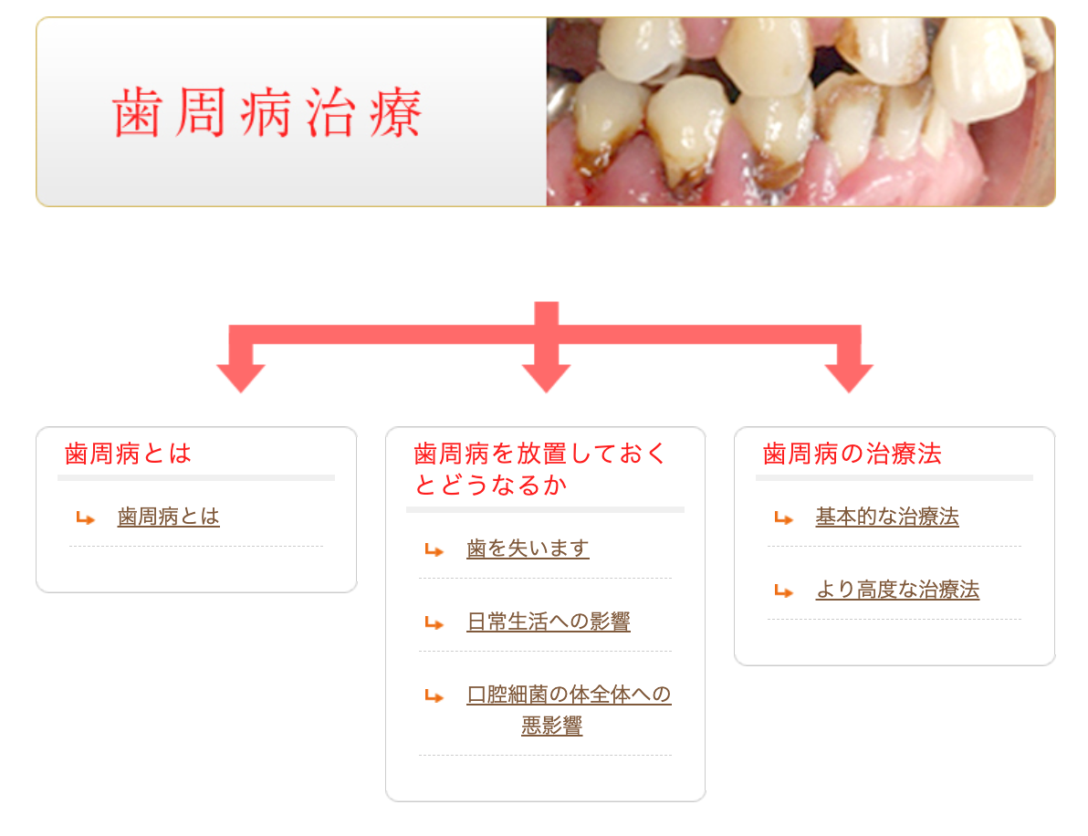 歯周病の予防と改善に力を入れています