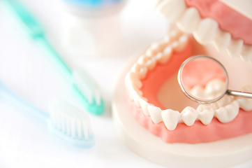 80歳まで20本の歯を残すことを目指して