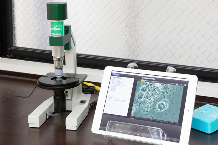 顕微鏡を使った細菌検査