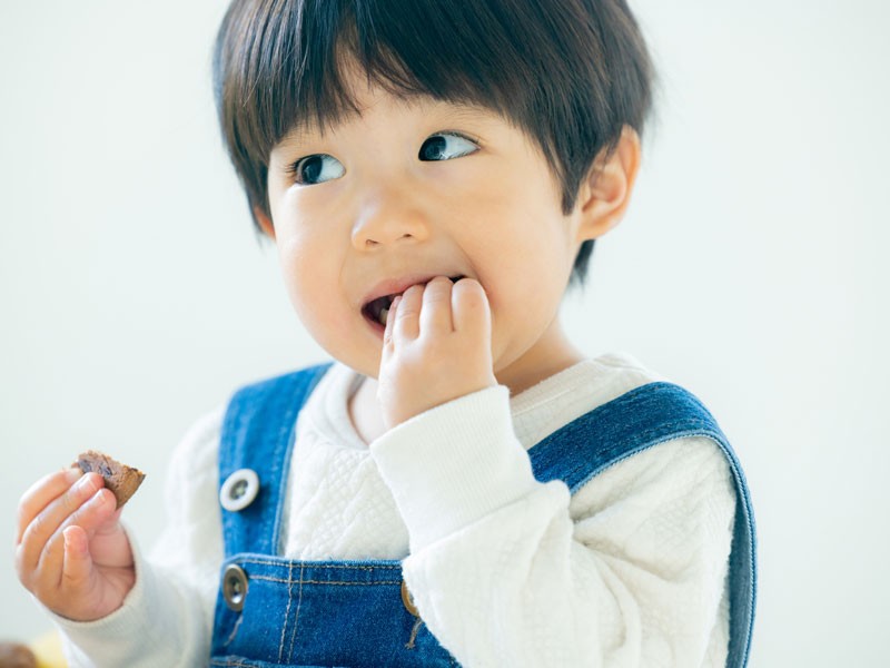 ※画像はイメージです。