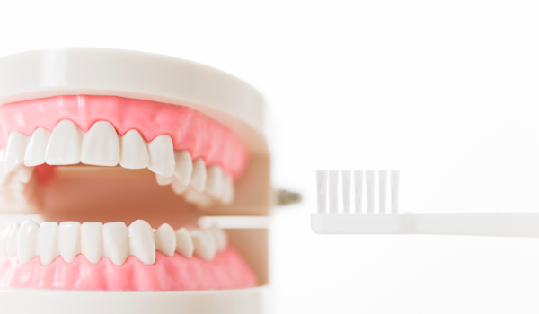 より自然な噛み心地と審美性を兼ね備えたインプラント治療を提供しています