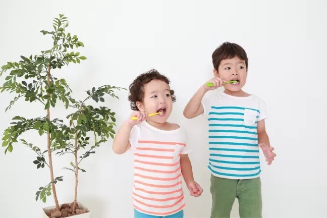 お口の健康をしっかりとサポートします