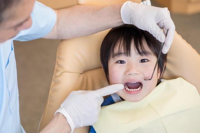 写真はイメージです