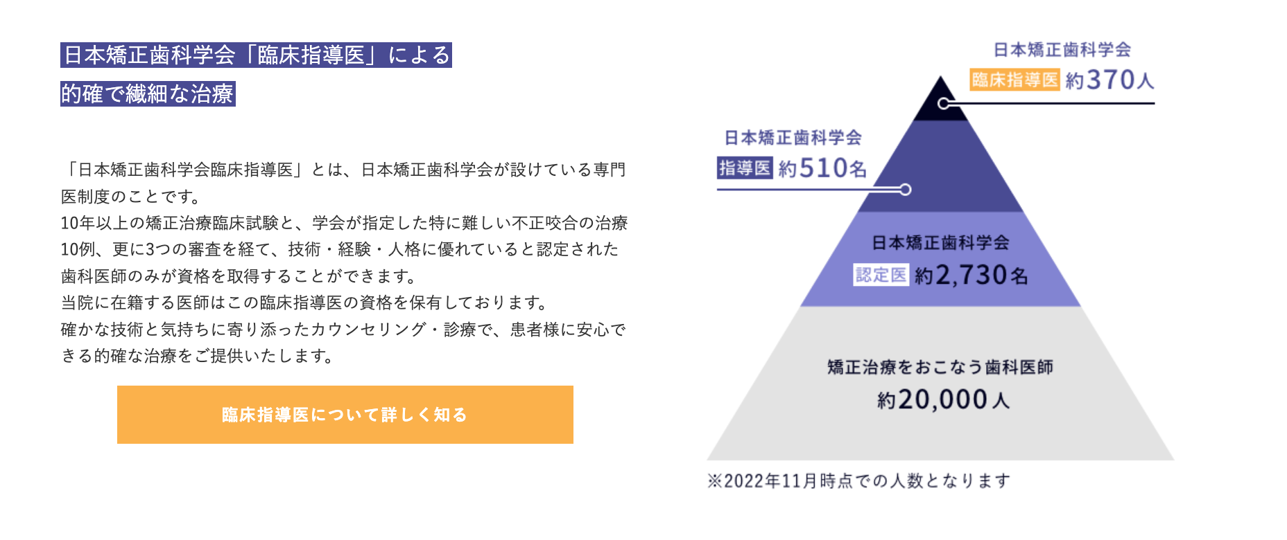 一人ひとりの歯や顎の状態を丁寧に診断し、それぞれに適した治療計画を立てています