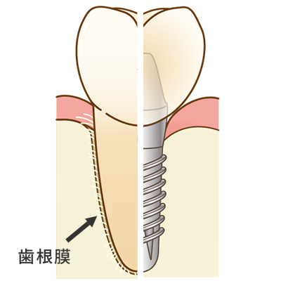 定期検査が重要です