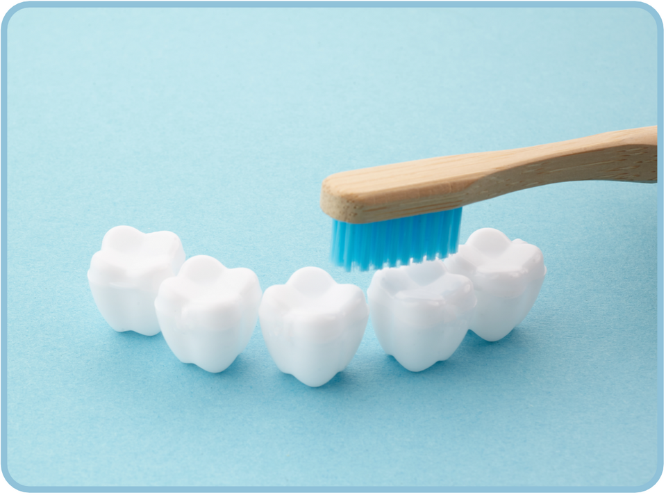 【陸前山下駅 徒歩16分】小児歯科専門でお子様の成長を見守り続ける佐々木小児歯科医院