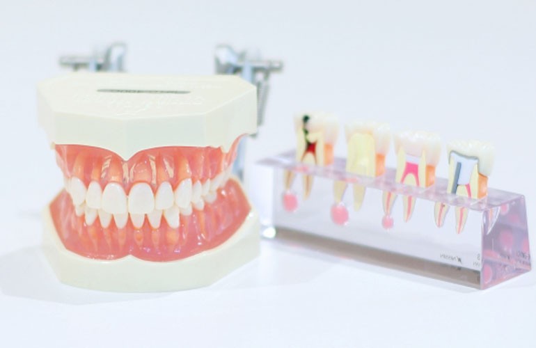 ※画像はイメージです。