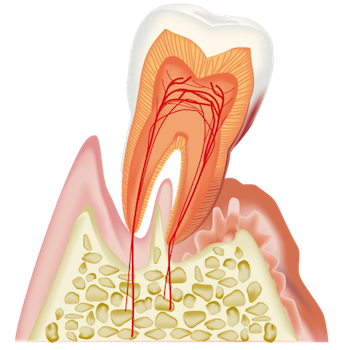 虫歯や歯周病などの一般歯科診療に加え、顎の痛みや違和感などの顎関節症にも対応しています