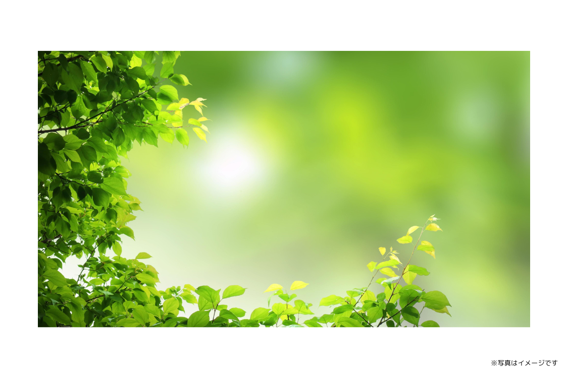 感謝の気持ちを大切にしながら、地域の皆様に質の高い歯科医療を提供しています