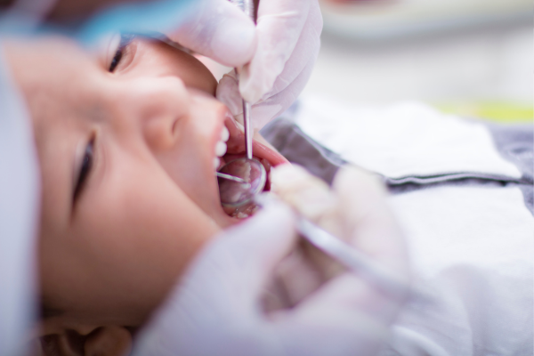 ※画像はイメージです