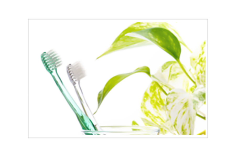 定期的な検診とクリーニングを推奨しています