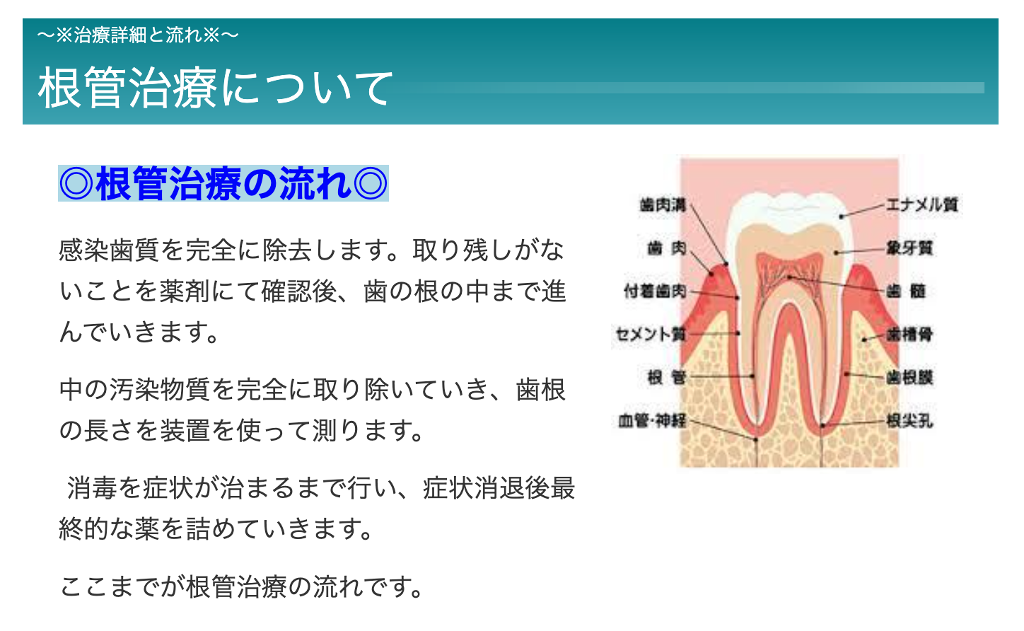 患者様の歯を可能な限り残すことを目指し、根管治療に取り組んでいます