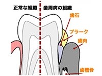レーザー治療にも対応しており、急な腫れや痛みにも迅速に対処できます