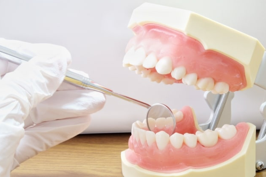 歯周病の早期発見と予防に力を入れ、定期検診と適切なケアを推奨しています