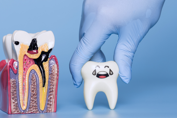 ※画像はイメージです