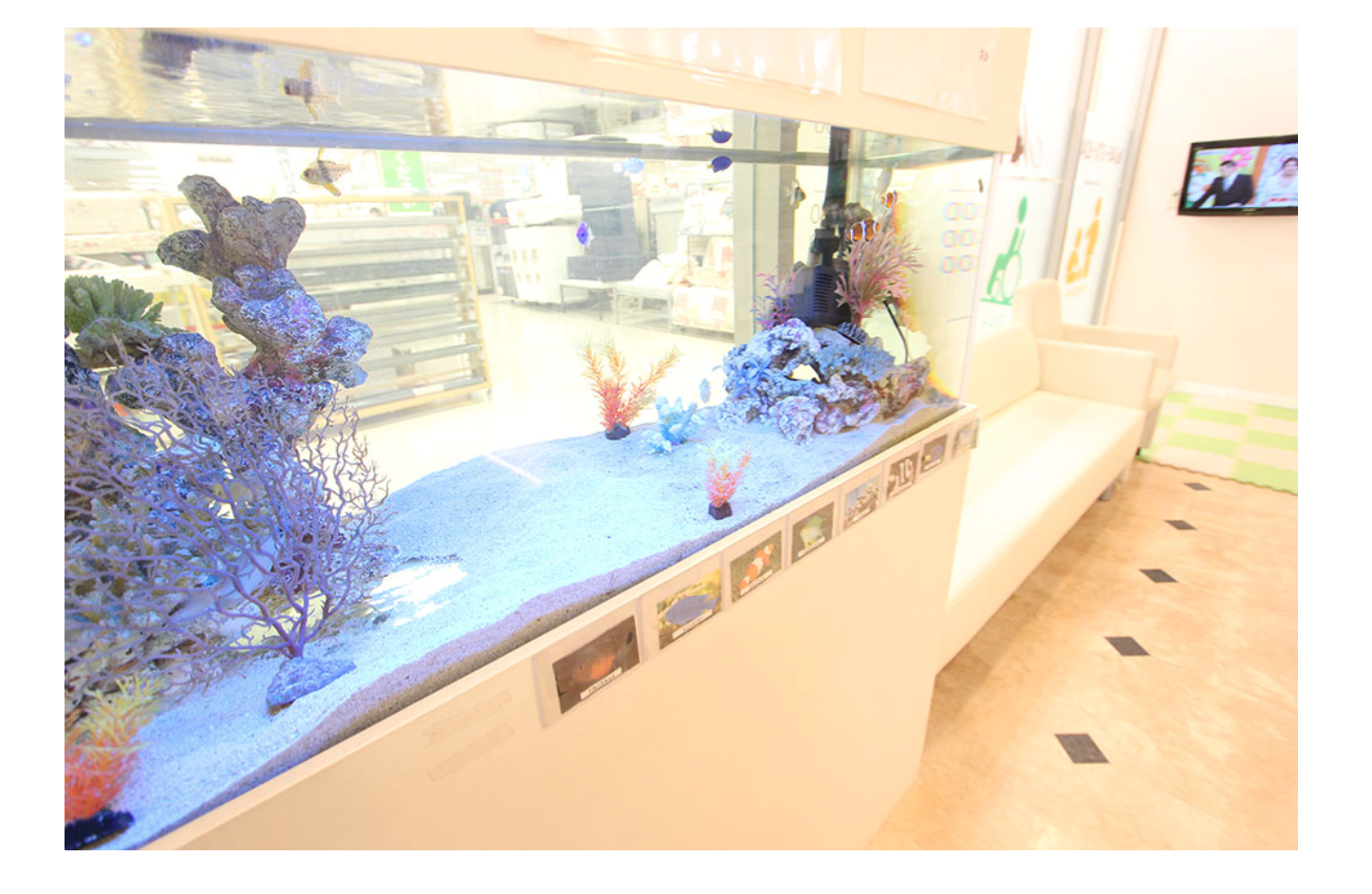 幅広い年代の患者様が安心して通える歯科医院を目指し、年中無休で診療を行っています