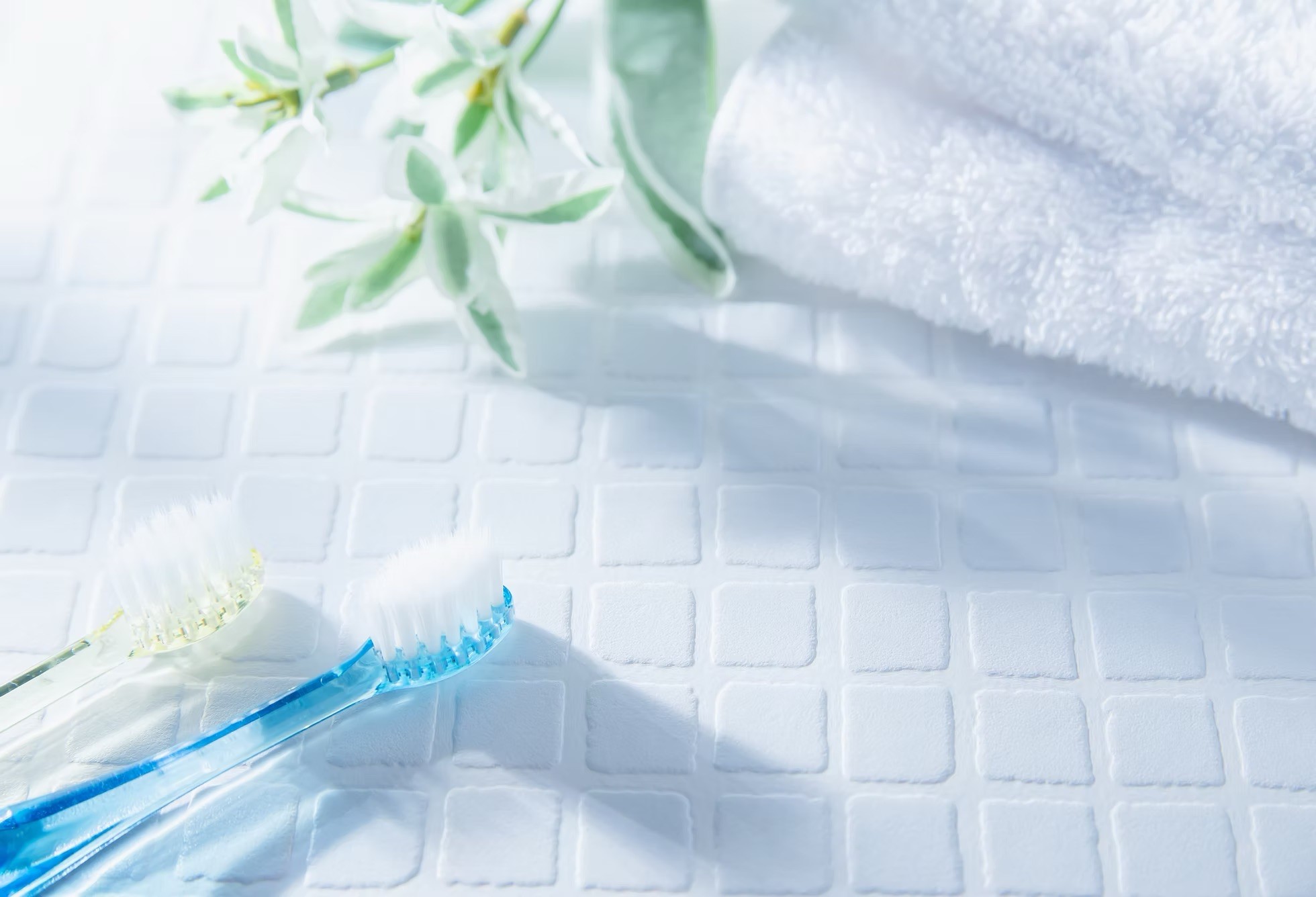 【宇和島駅 徒歩10分・駐車場完備】幅広い世代が通いやすい地域密着型のかしま歯科医院