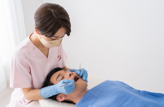 歯石の除去やクリーニングを通じて細菌の温床を取り除き、炎症の改善を目指します。※写真はイメージです。