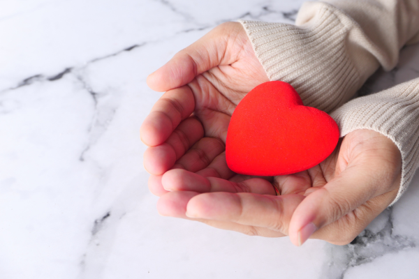 ※画像はイメージです