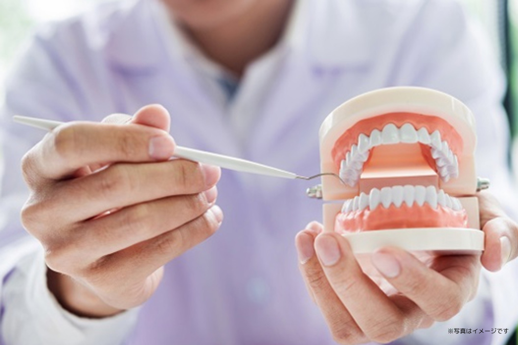 「できるだけ削らない、抜かない」治療方針を掲げ、歯の保存を重視した診療が行われています