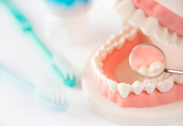 噛む・話す・笑うを支える義歯