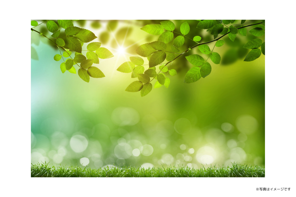 治療だけでなく、予防やメンテナンスまでを見据えた長期的な口腔管理を重視しています。